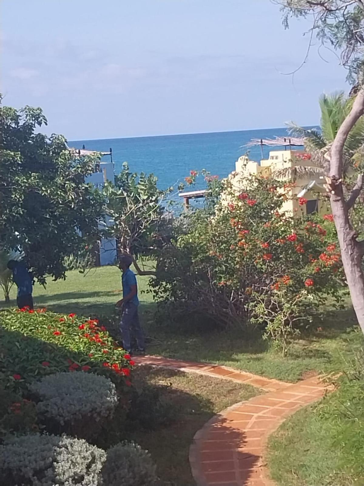 Brytan Villa Treasure Beach Ngoại thất bức ảnh
